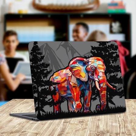 LAPTOP SKIN